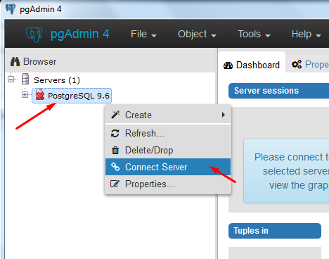 Pgadmin tutorial Pgadmin tutorial